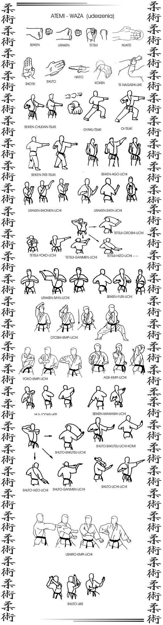techniki jujitsu