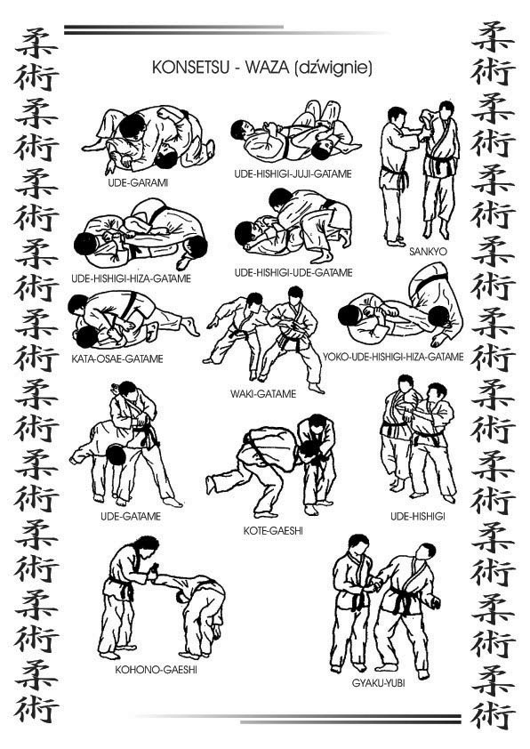 techniki jujitsu