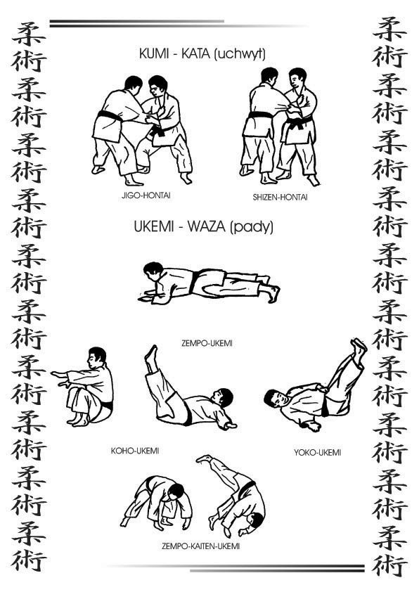 techniki jujitsu