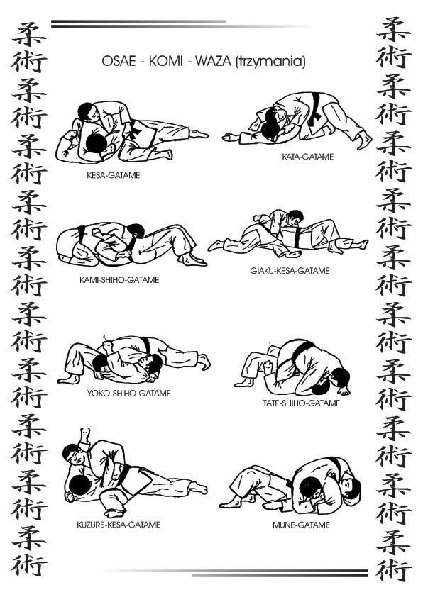 techniki jujitsu