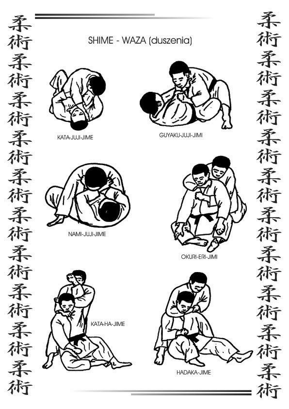 techniki jujitsu