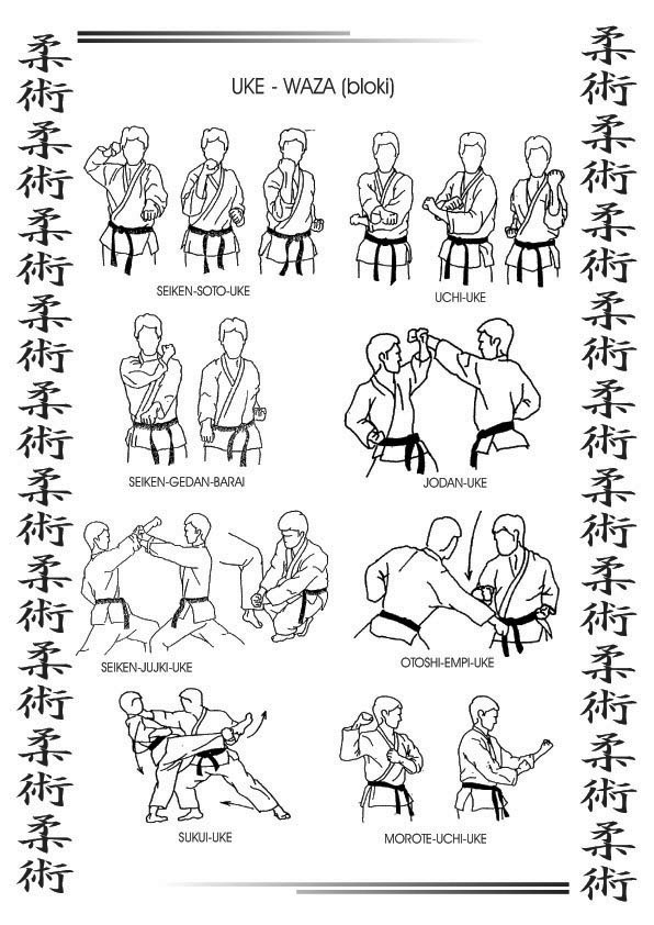 techniki jujitsu